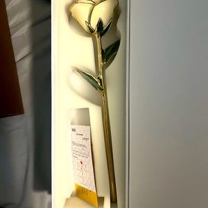 I hate Steven Singer white gold dipped rose